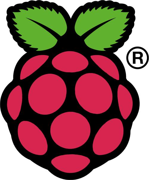 Raspberry Pi计算机被挤进鼠标内部